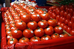 Frutos de tomate, producto hortícola originario de América cuyo nombre procede de una lengua nativa.