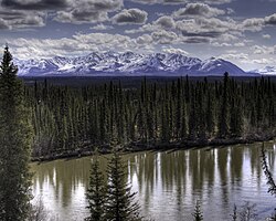 Paisaje de taiga en Alaska.