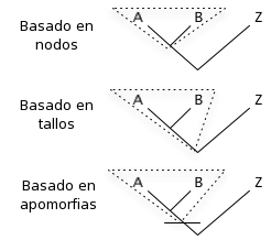 Esquema que muestra cómo las sinapomorfías son una de las tres formas de definir un clado según el PhyloCode.