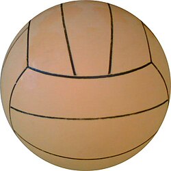Pelota de waterpolo