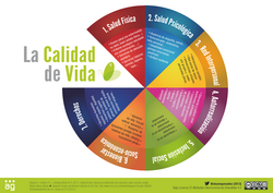Factores que influyen en la calidad de vida