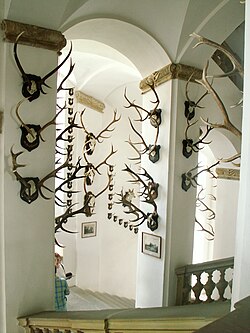 Colección histórica de trofeos de caza