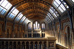 Sala central del Museo de Historia Natural en Londres con bóveda sobre arcos de hierro fundido.