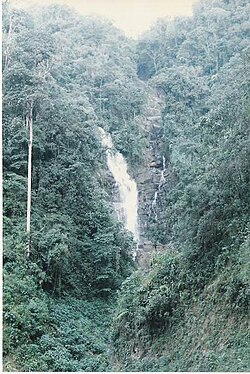 Bosque antioqueño de montaña con una caída de agua en Colombia.