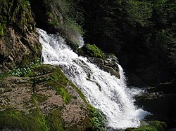 Fuentes del río Llobregat en Castellar de Nuch