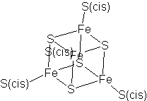 Representación de estructuras bioquímicas con grupos hemo