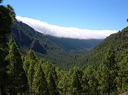 Efecto Foehn en La Palma