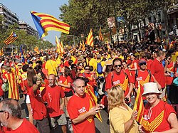 Asistentes a la concentración de la Diada de 2014