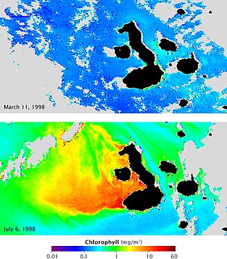 Mapas satelitales de concentración de clorofila durante El Niño y La Niña