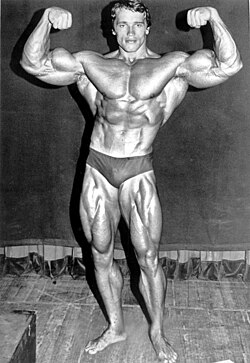 Arnold Schwarzenegger posando en el año 1974