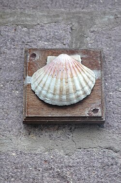 Concha o vieira de Santiago, elemento característico e histórico de los peregrinos compostelanos.