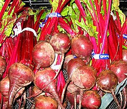Raíces de remolacha Beta vulgaris