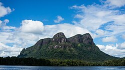 Paisaje selvático en el estado Amazonas, Venezuela.