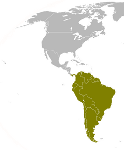 Mapa de países participantes en los Juegos Sudamericanos