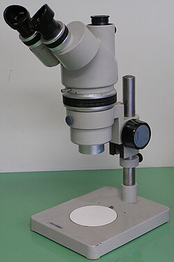 Microscopio estereoscópico para visión binocular directa