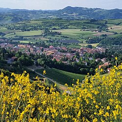 Vista general de Riolo Terme
