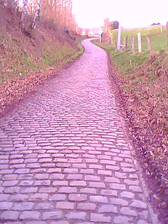 Camino adoquinado del Oude Kwaremont