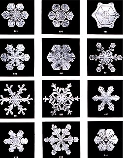 Cristales de hielo estudiados por Wilson Bentley en 1902