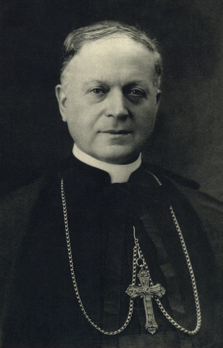 Escudo heráldico de Federico Tedeschini