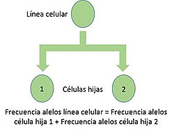 Representación gráfica conceptual asociada a procesos celulares silentes.