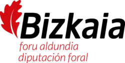Logotipo o representación gráfica de la Diputación Foral de Vizcaya