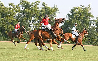 Partido de polo en el Kentucky Horse Park.
