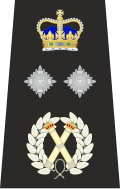 Epaulette de comisionado auxiliar