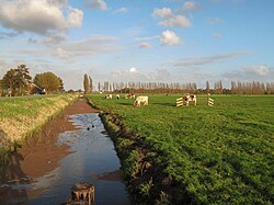 Vista hacia el pólder entre Roelofarendsveen y Hoogmade