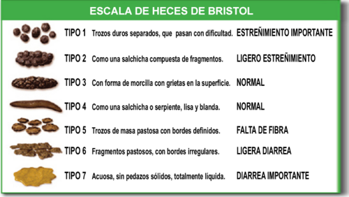 La escala de Bristol sirve para clasificar las heces según su apariencia y consistencia
