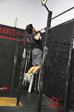 Representación conceptual del entrenamiento y sus distintas metodologías de preparación.