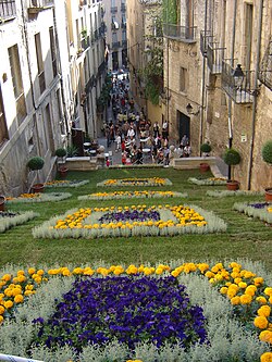 Escaleras de la Cuesta de Santo Domingo en Gerona, Tiempo de Flores