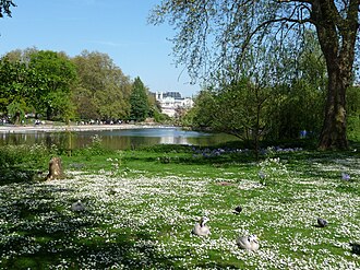 Vista general y entorno paisajístico de St. James’s Park