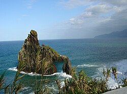 Vegetación de la costa norte de la isla de Madeira