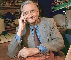 Edward O. Wilson en su despacho de la Universidad de Harvard