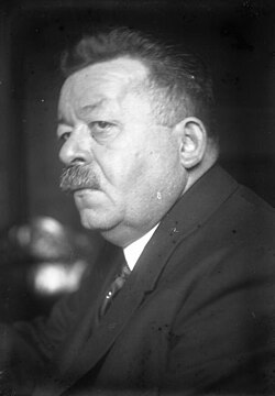 Retrato fotográfico formal de Friedrich Ebert en una etapa avanzada de su vida política.