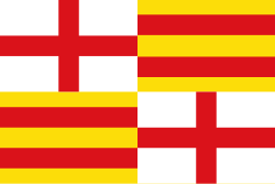 Variante de bandera utilizada entre los años 40 y 1996