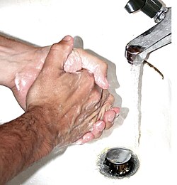 Persona lavándose las manos en un lavabo con agua y jabón.