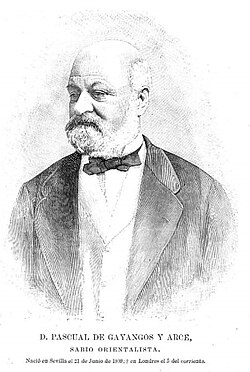 Retrato de Pascual de Gayangos