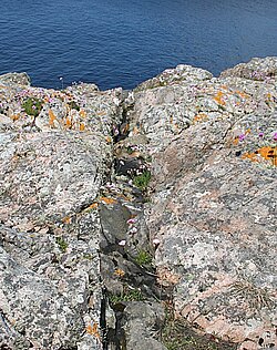 Dique de Scourie sin deformar cortando gneis de Lewis, a unos 1,6 km al oeste de Scourie.