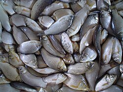 Pescado dispuesto para su venta en un bazar de Odesa