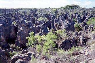 Paisaje kárstico e interior degradado por la minería del fosfato en Nauru