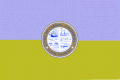 Bandera oficial y escudo de armas de Carson