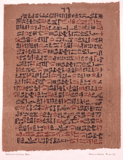 Fragmento del Papiro Ebers