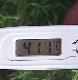 Termómetro digital marcando 41 °C durante una ola de calor