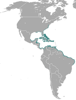 Mapa de distribución del Trichechus manatus