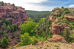 Pinares de Rodeno en la sierra de Albarracín