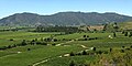 Viñedos en el valle de Colchagua