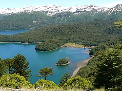 Lago Conguillío con la Sierra nevada de fondo en la Araucanía, Chile