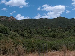 Paisaje del WWF Oasis de Monte Arcosu en Cerdeña
