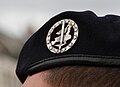 Insignia de la boina del Eurocuerpo